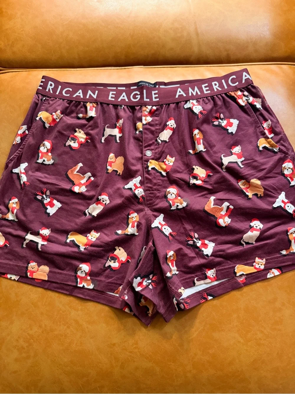 American Eagle Maroon Dog Christmas Print Boxer Shorts